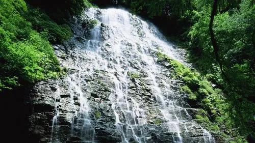 绿色电子智能